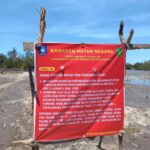 Aktivis Lingkungan Beltim Sesalkan Wisata Susur Sungai Hutan Mangrove Desa Sukamandi Terancam Pupus