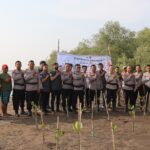 Rangkaian Hut Humas Polri Ke-72,Polres Cirebon Kota Tanam Ratusan Bibit Pohon Mangrove
