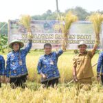 Penjabat Bupati Purwakarta Gelar Panen Raya di Desa Tanjungsari