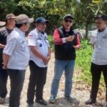 Pj Bupati Tanggamus dan Kadis BMBK Provinsi Lampung, Kembali Tinjau Jalan Provinsi di Kelumbayan