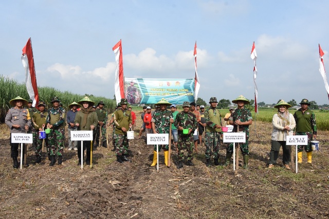 Penananaman Jagung Perdana, Upaya Peningkatan Produksi Pangan Di Wilayah Kodim 0815/Mojokerto