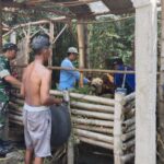 Terus Aktif Dampingi Petugas Distan, Babinsa Koramil Dlanggu Berharap PMK Terus Terkendali