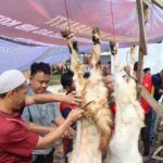 Lapas Kotaagung Rayakan Idul Adha 1445 H/2024 M,Petugas Gelar Salat Ied dan Sembelih 12 Hewan Kurban Bersama Warga Binaan