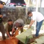 Antusias Pokja Wartawan Belitung Di Momen Idul Adha 1445 H/Tahun 2024