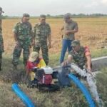 Turun Ke Sawah, Babinsa Koramil 0815/05 Gedeg Dampingi Petani Tanam Padi di Desa Gempolkerep
