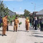 Tanam Ratusan Pohon, Komitmen Koramil 0815/06 Kemlagi Bersama Mahasiswa Unimas Jaga Kelestarian Alam