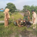 Peduli Kelestarian & Keasrian Alam, Koramil 0815/09 Mojosari Bersama Perangkat - Warga Tanam 150 Pohon di Desa Awang-Awang