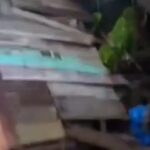 Kawanan Gajah Rusak 7 Rumah Warga di Kabupaten Tanggamus