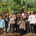 Dukung Program Ketahanan Pangan Nasional, Polresta Cirebon Gelar Penanaman Jagung Serentak