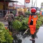 Sinergi TNI, BPBD, dan Warga Atasi Pohon Tumbang di Mojosari