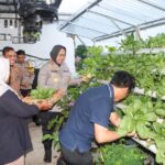 Kapolresta Cirebon Sambang Kamtibmas, Kunjungi Kebun Pekarangan Bergizi Warga di Desa Karangwangi