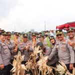 Polresta Cirebon Dukung Swasembada Pangan 2026, Panen Raya Jagung Serentak Hasilkan 3 Ton Jagung Pipil Polresta Cirebon Dukung Swasembada Pangan 2026, Panen Raya Jagung Serentak Hasilkan 3 Ton Jagung Pipil