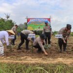 Kapolresta Cirebon Pimpin Penanaman Jagung Serentak, Polresta Cirebon Tegaskan Komitmen Dukung Swasembada Pangan Nasional Kapolresta Cirebon Pimpin Penanaman Jagung Serentak, Polresta Cirebon Tegaskan Komitmen Dukung Swasembada Pangan Nasional
