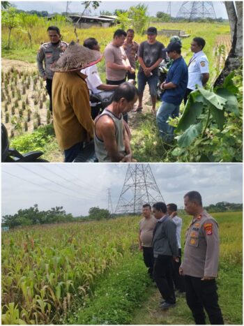 Kapolsek Kresek melakukan pengecekan pertumbuhan pohon Jagung di Desa Pasirampo