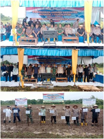 Polsek Tigaraksa Laksanakan Penanaman Jagung Serentak Kuartal I Tahun 2026 di Desa Bantarpanjang