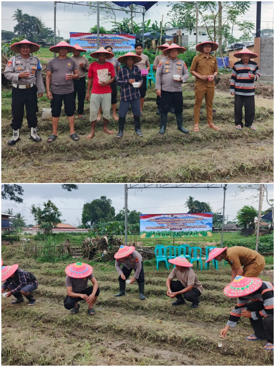 Kapolsek Kresek laksanakan Penanaman Jagung Hibrida Program 1 Desa 2 Hektare di Desa Talok