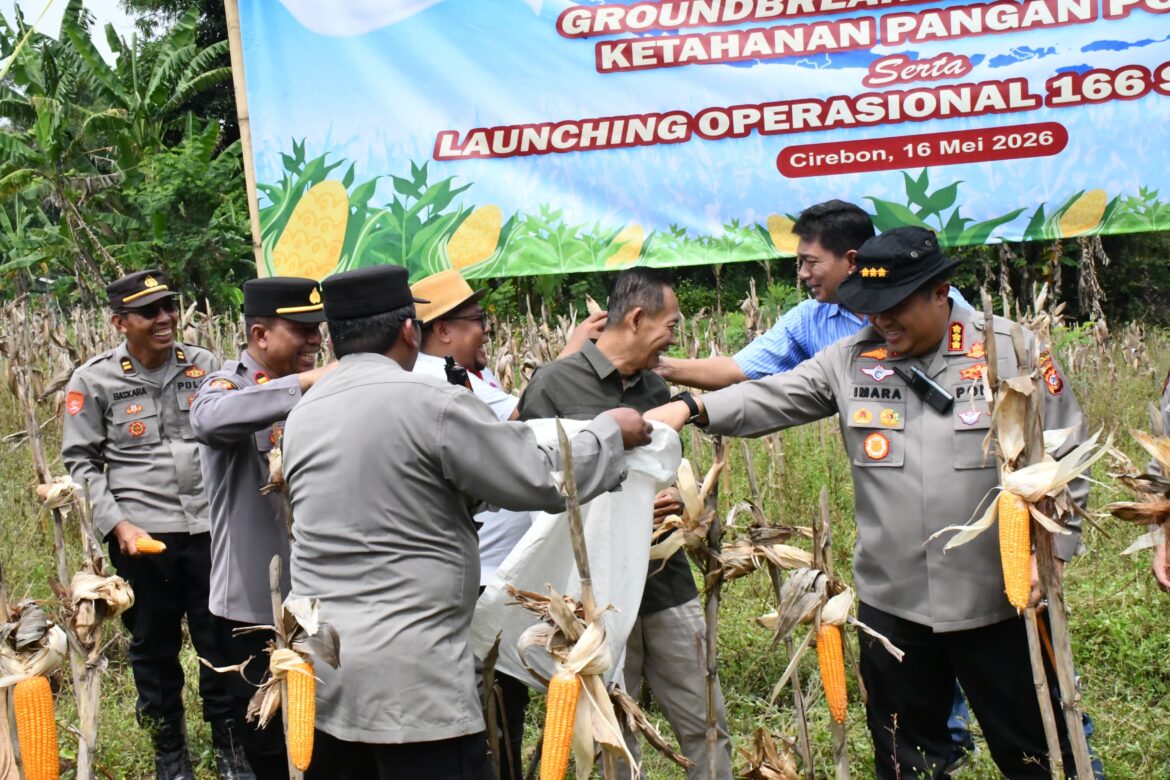Sinergi Wujudkan Ketahanan Pangan, Polresta Cirebon Ikuti Panen Raya Jagung Serentak Bersama Presiden RI dan Kapolri