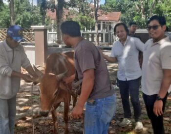 Pokja Wartawan Belitung Salurkan Hewan Kurban PT Timah Tbk Besok