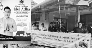 PT Timah Tbk Serahkan Sapi Kurban kepada PWI Belitung, Wujud Kepedulian Sosial