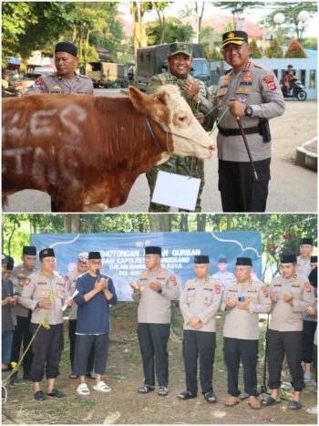 Idul Adha Berbagi, Polresta Tangerang Salurkan Puluhan Hewan Kurban ke Pesantren hingga Komunitas Ojol
