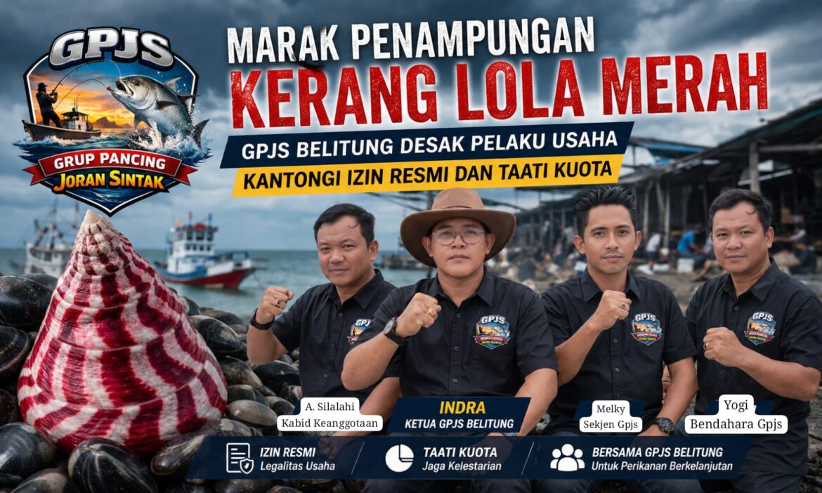 Marak Penampungan Kerang Lola Merah, GPJS Belitung Desak Pelaku Usaha Kantongi Izin Resmi dan Taati Kuota