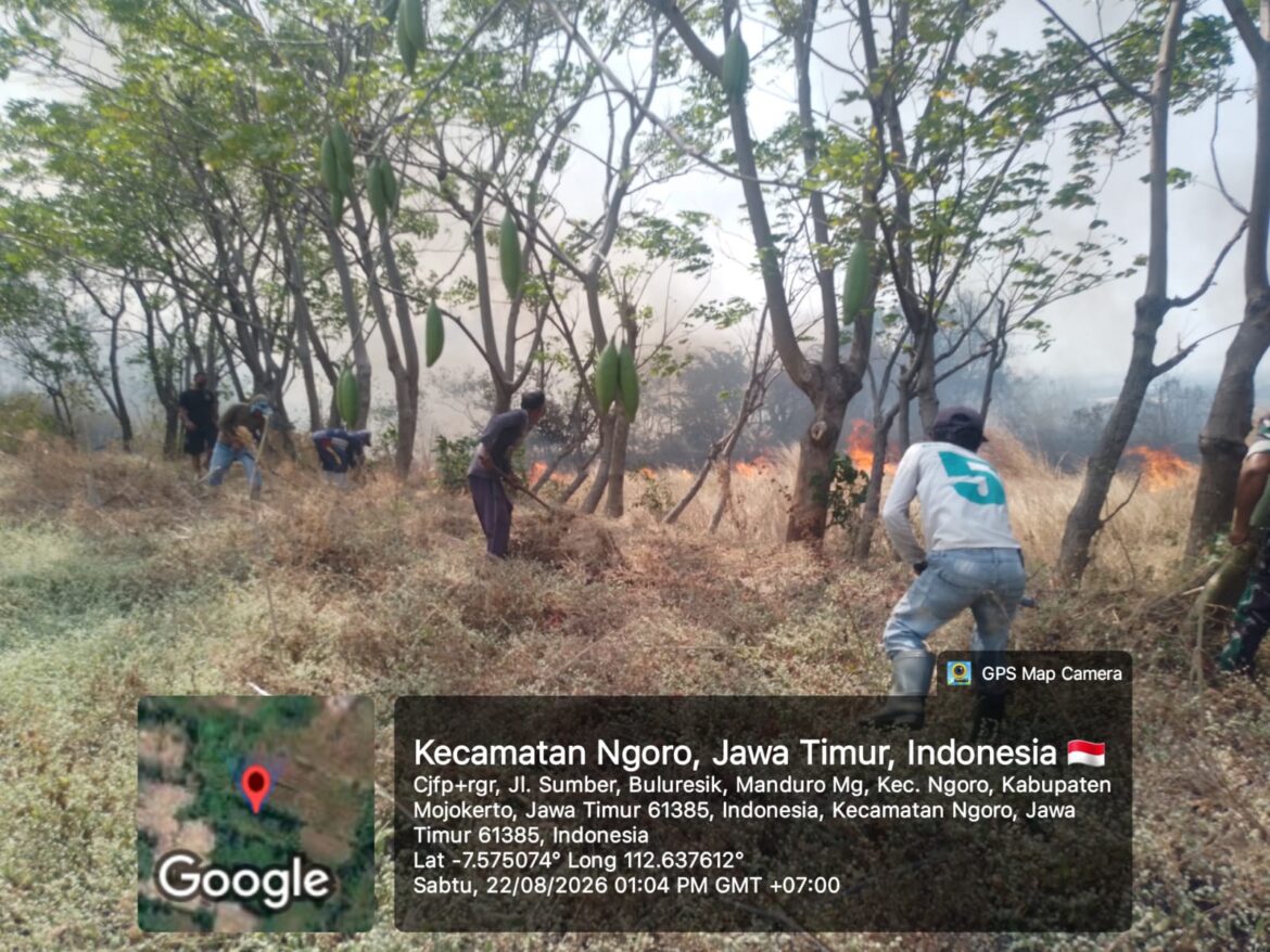 Gerak Cepat TNI dan Warga Padamkan Kebakaran Lahan Curah di Kecamatan Ngoro