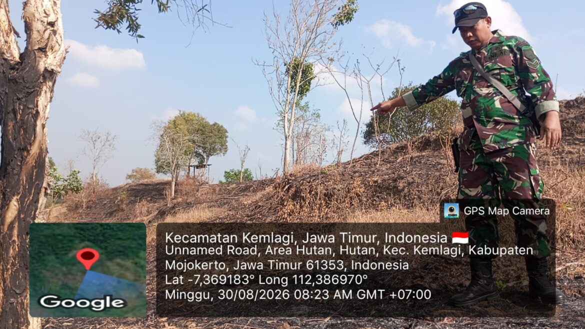 Waspada Karhutla, Babinsa Koramil 0815/06 Kemlagi Cek Titik Api di Lahan Kering Mojorejo