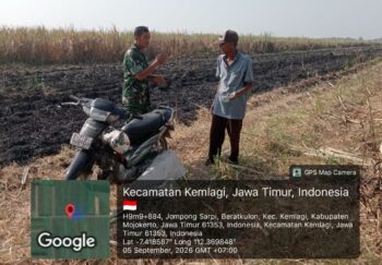 Pembakaran Sisa Tebu Picu Titik Api, Babinsa 0815/06 Kemlagi Beri Imbauan kepada Petani