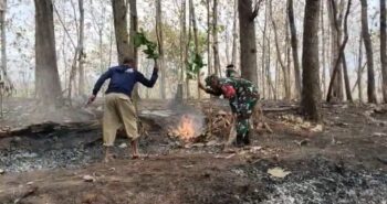 Titik Api di Lahan Perhutani Begaganlimo Berhasil Dipadamkan, Babinsa dan Warga Bergerak Cepat