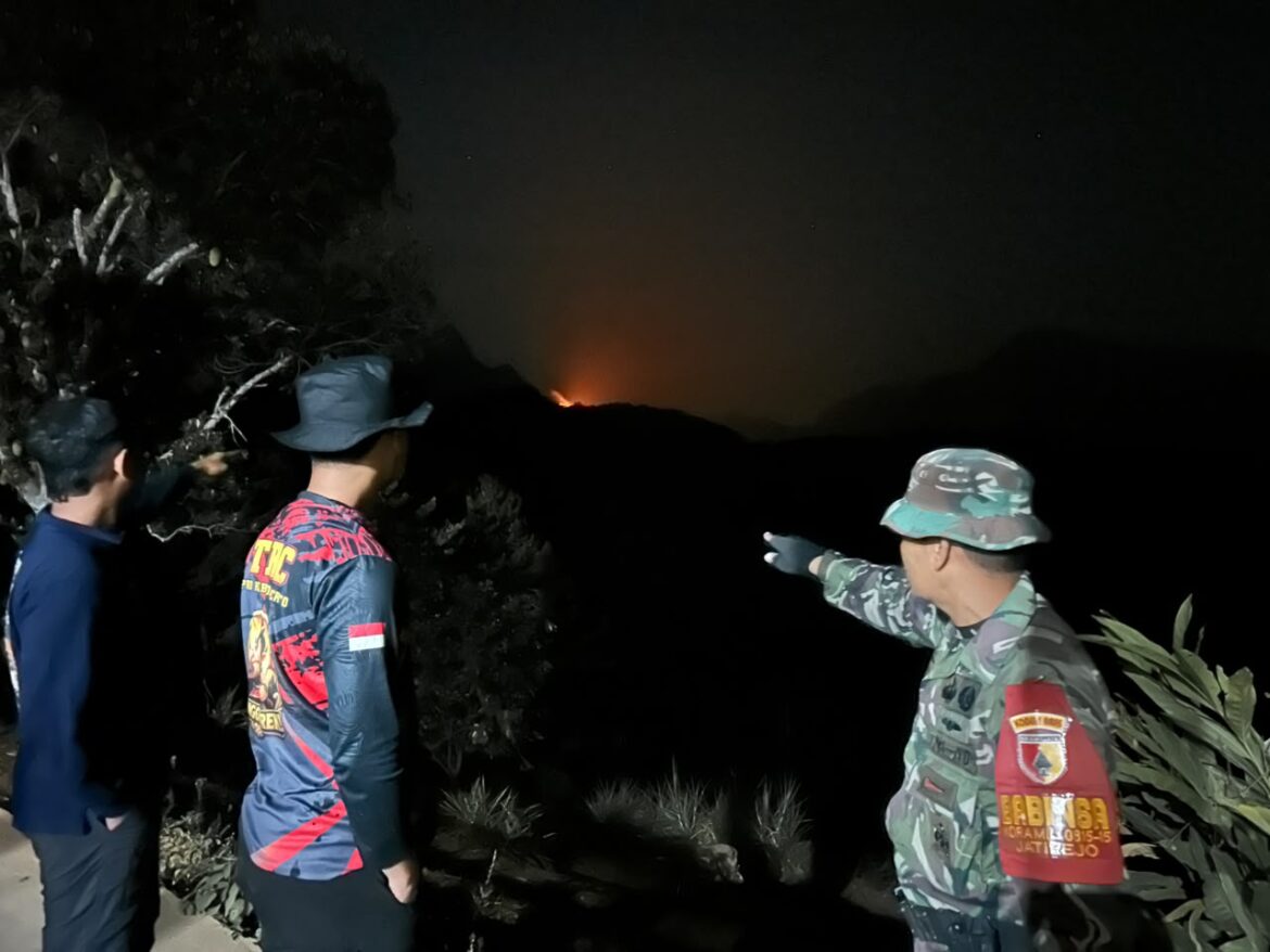Karhutla di Kawasan Tahura Bukit Watu Jengger Mojokerto, Sekitar 15 Hektare Lahan Terbakar